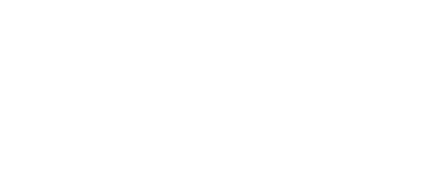 Logo_naturzone_blanco